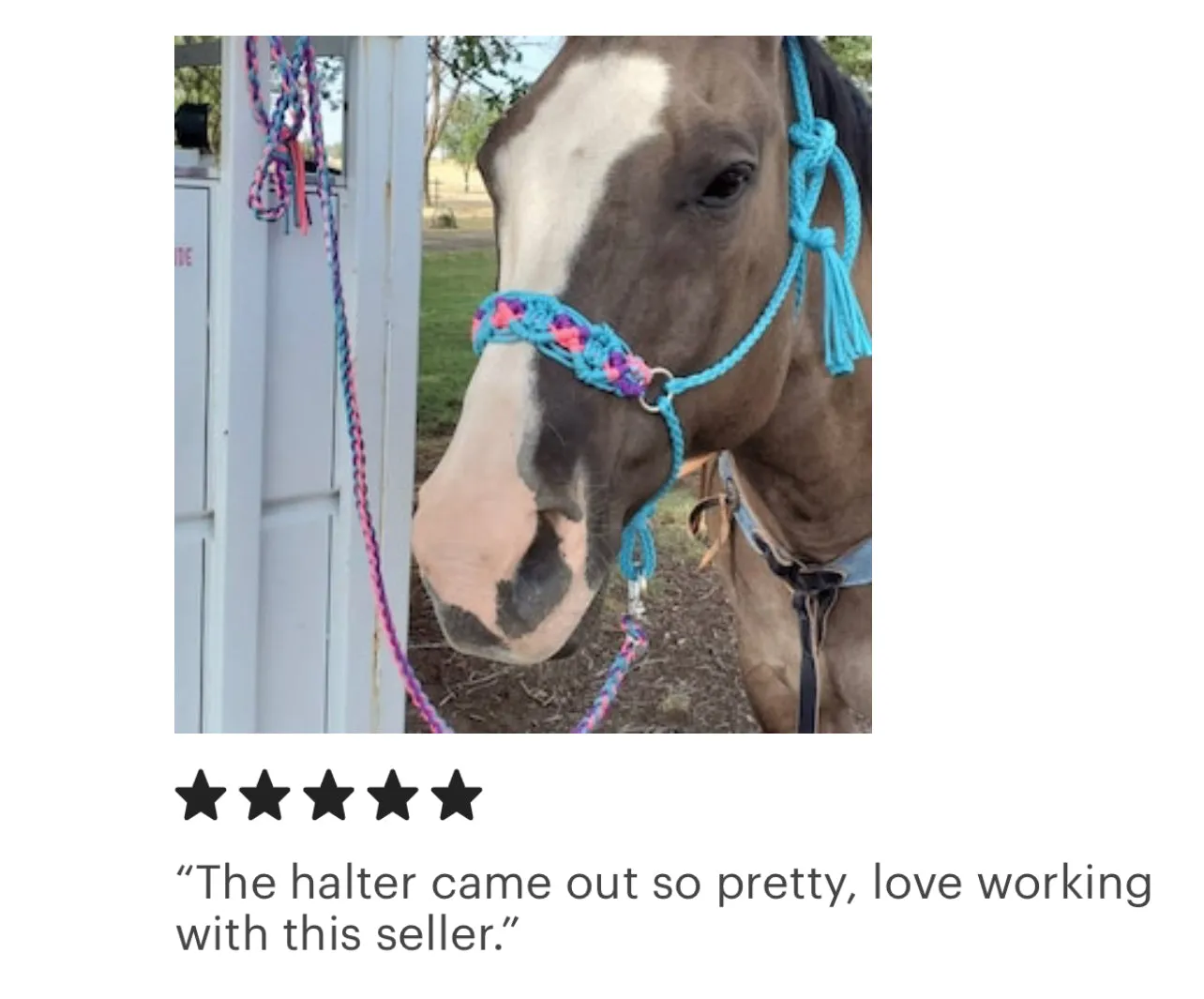 Braided horse halter hot pink,neon turquoise, and purple