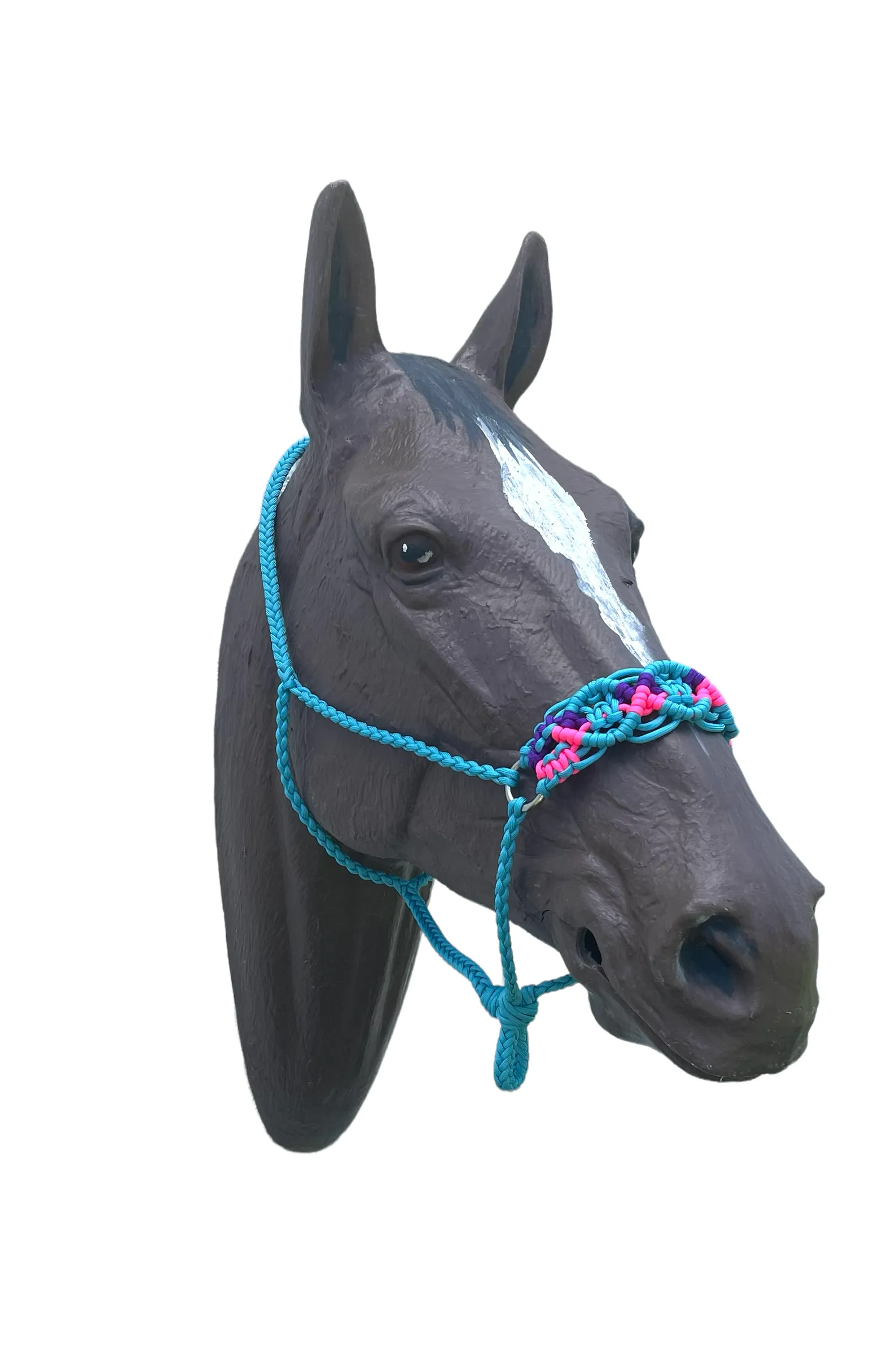 Braided horse halter hot pink,neon turquoise, and purple