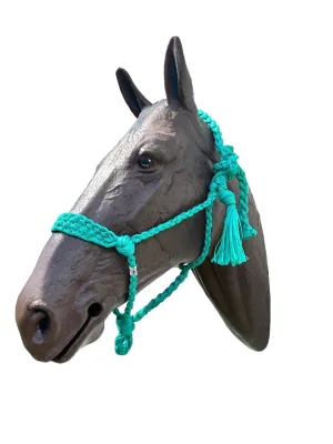 Green turquoise Braided mule tape horse halter with flat noseband