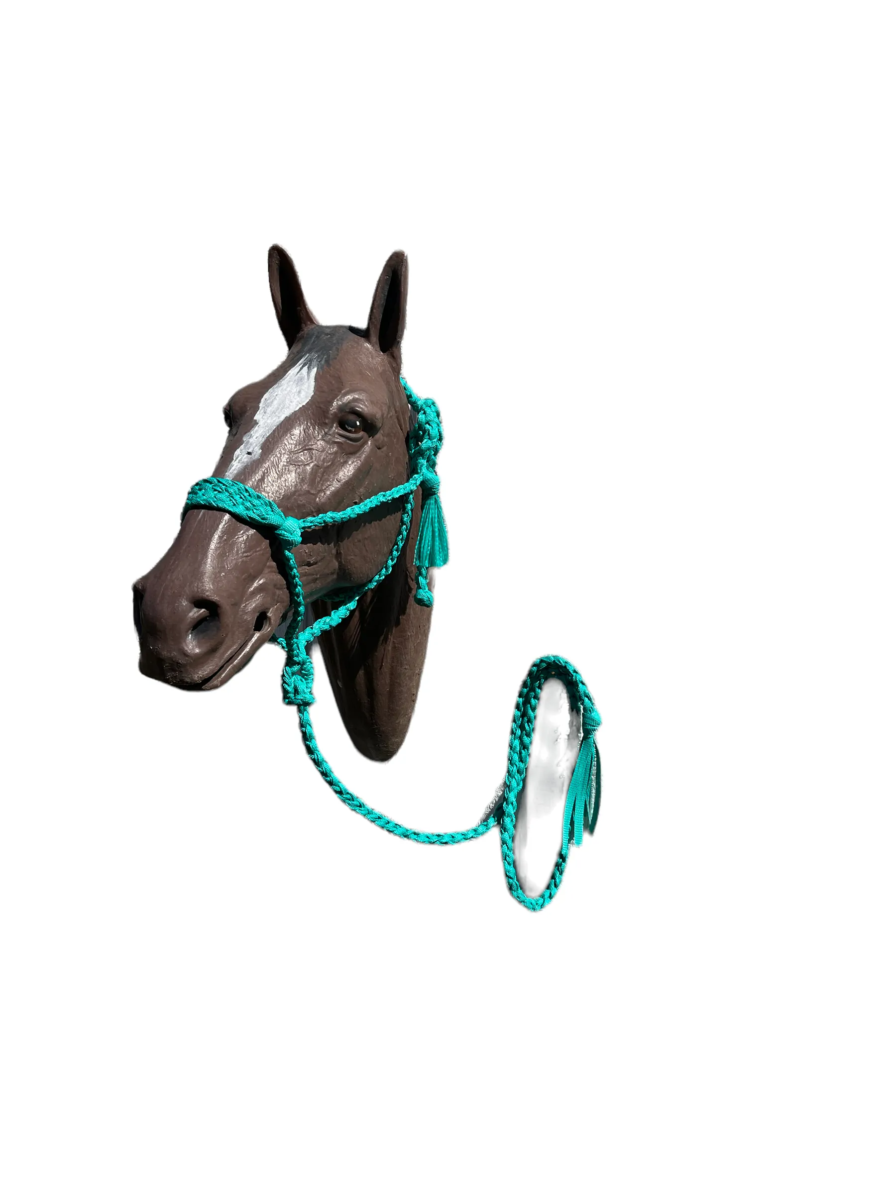 Green turquoise Braided mule tape horse halter with flat noseband