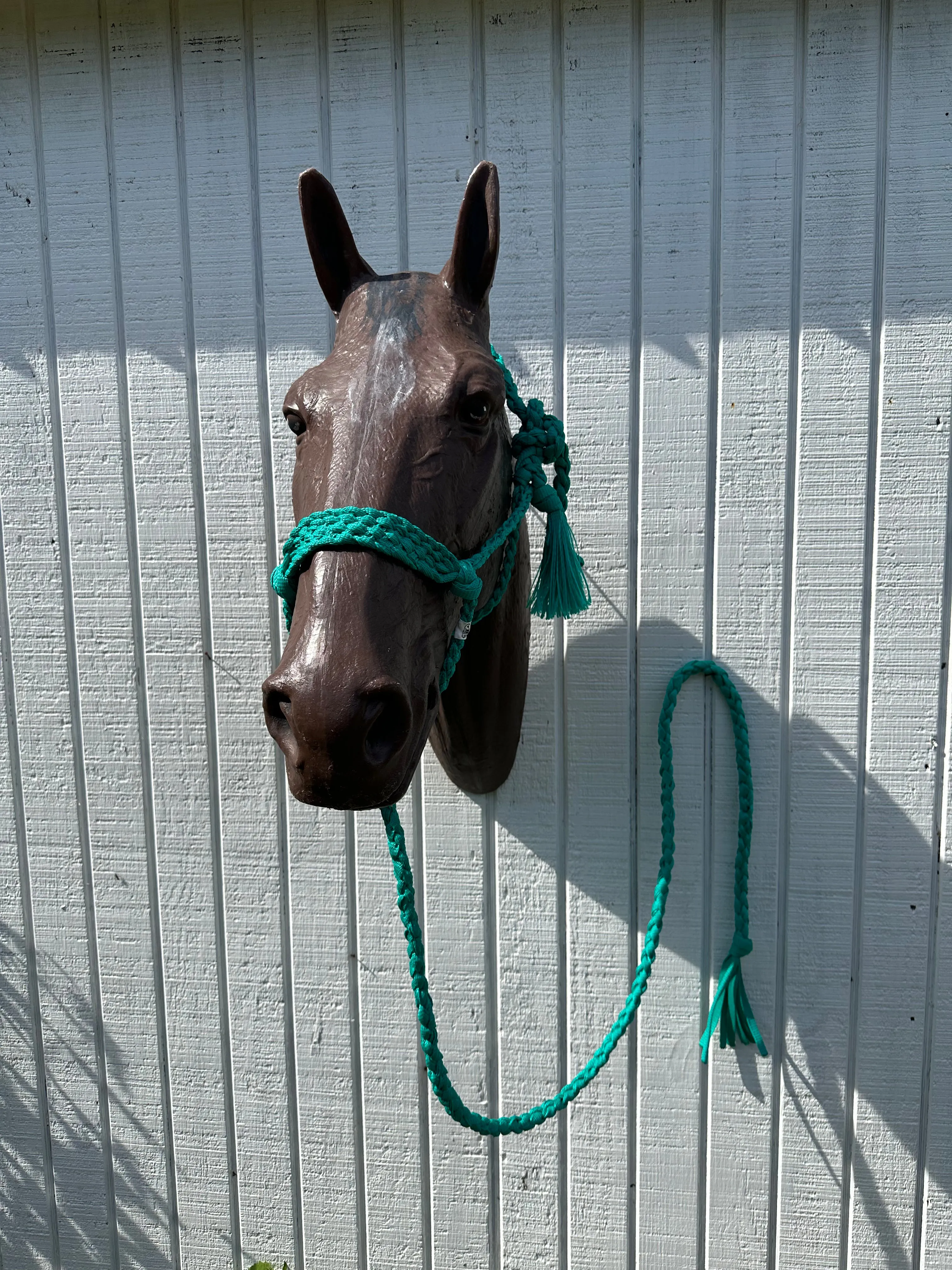 Green turquoise Braided mule tape horse halter with flat noseband