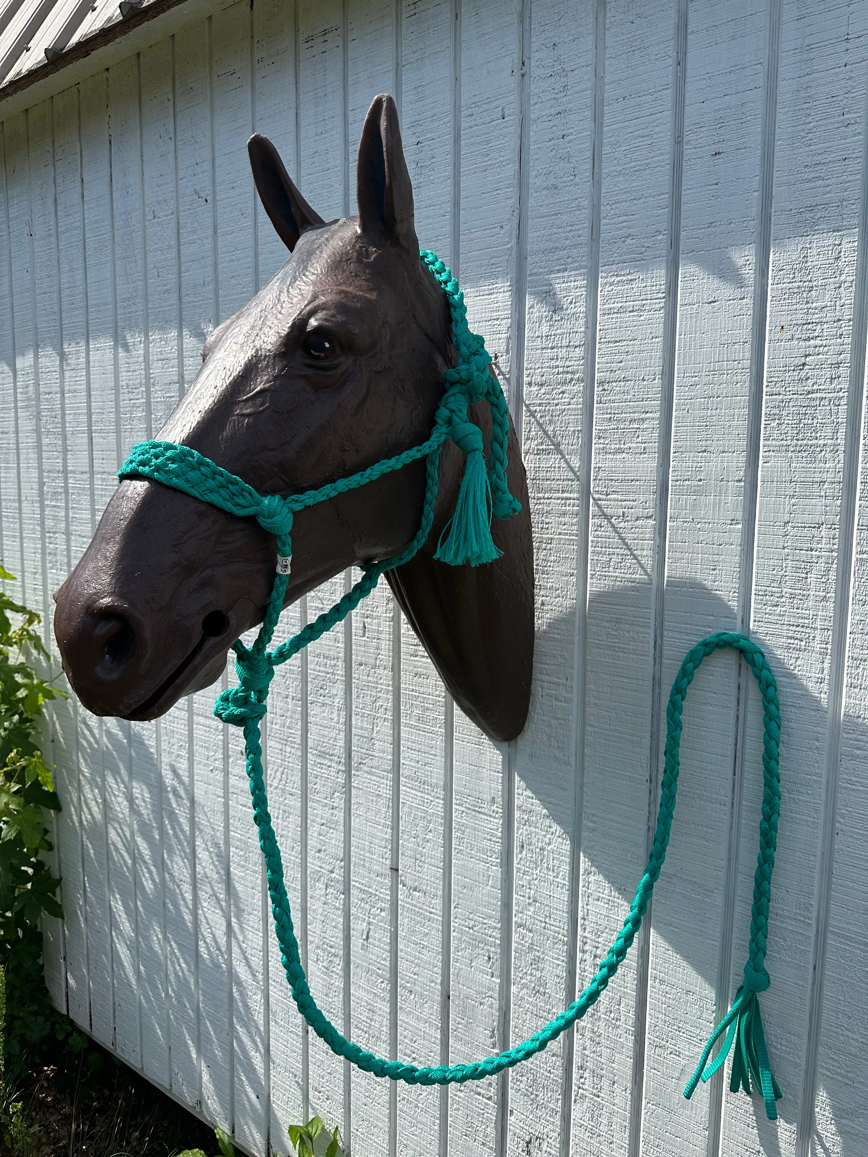 Green turquoise Braided mule tape horse halter with flat noseband