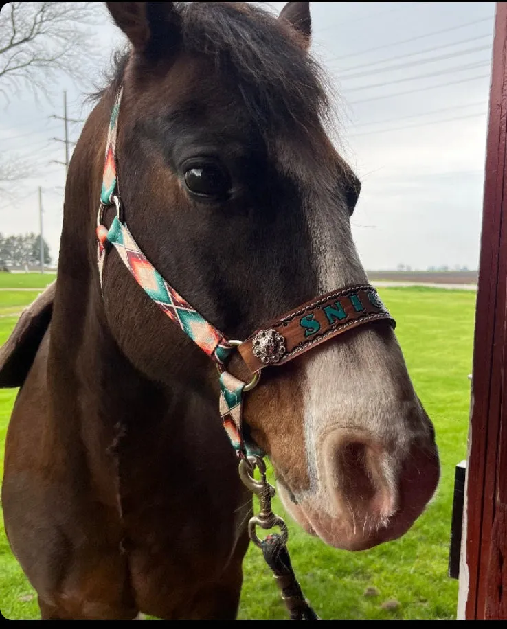 PERSONALIZED aztec print nylon horse halter