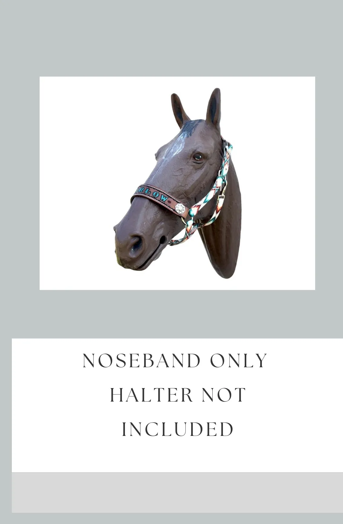 PERSONALIZED   nylon horse halter noseband